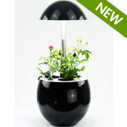 Floreira Hidropnica - J301 Preto - JardiNice